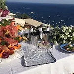 Rosa 4*