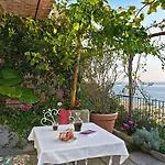 Rosa Positano