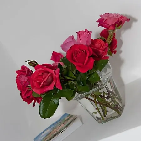 Bed and Breakfast Rosa Ποζιτάνο