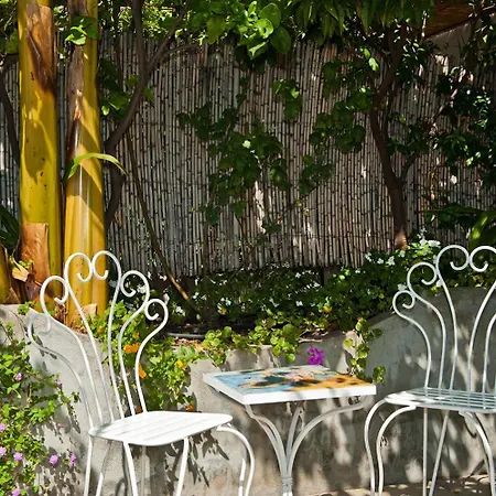 Bed & Breakfast Rosa