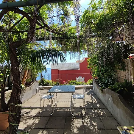 Rosa Bed & Breakfast
